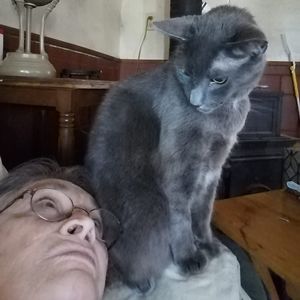 Meet your Posher, Mirna